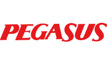 Pegasus