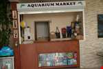 Club Aquarium Bodrum